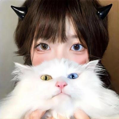 报告慕机长叶小姐单飞了